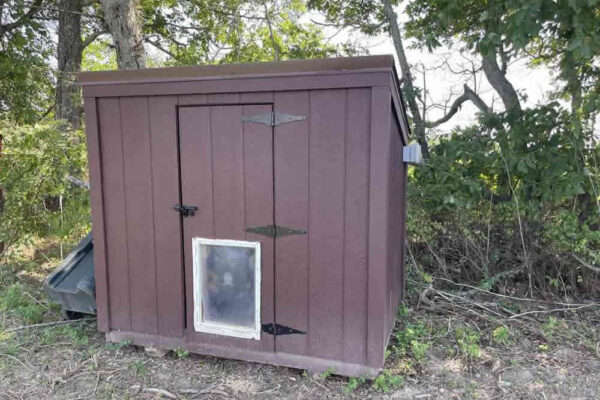 auction-10-15-22-744