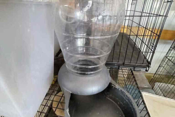 auction-10-15-22-795