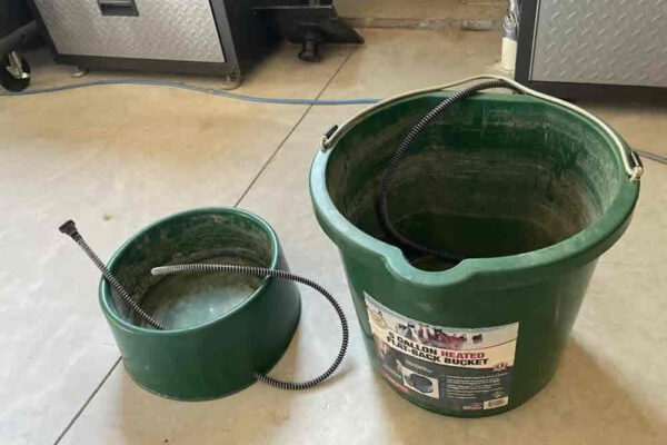 auction-10-15-22-797