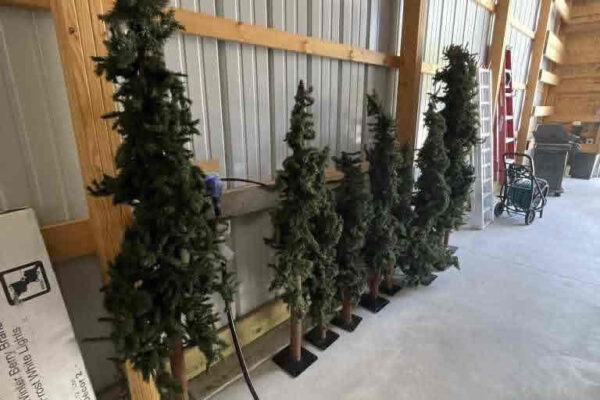 auction-10-15-22-802