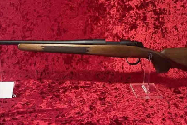 auction-10-15-22-808