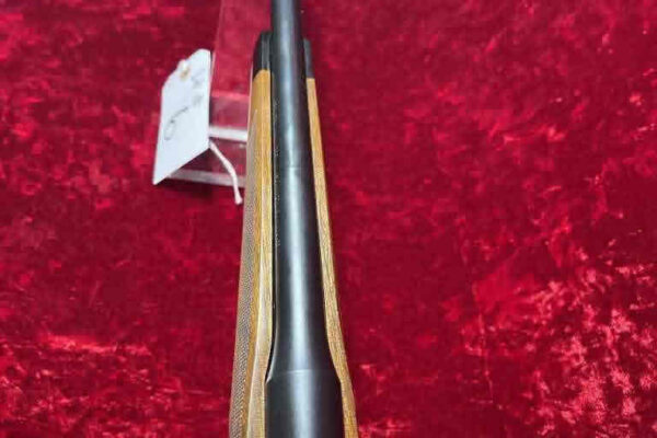 auction-10-15-22-836