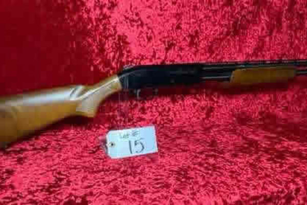 auction-10-15-22-917