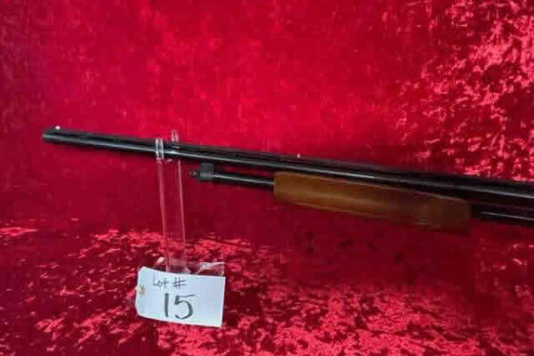 auction-10-15-22-924