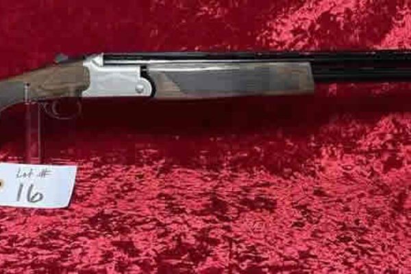 auction-10-15-22-927