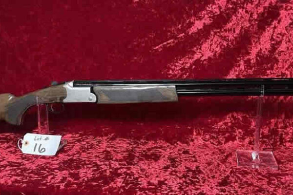 auction-10-15-22-928