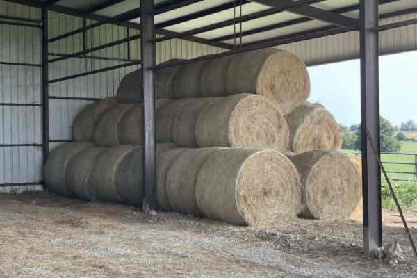 auction-10-21-22-503