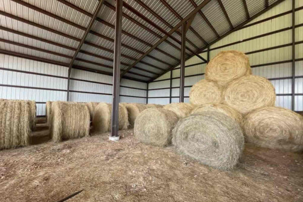 auction-10-21-22-506