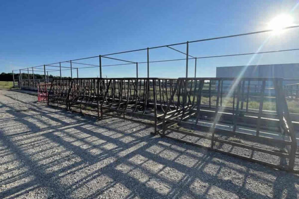 auction-10-21-22-507