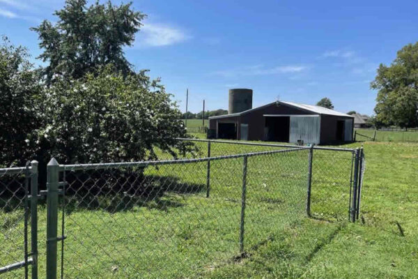 auction-10-22-22-473