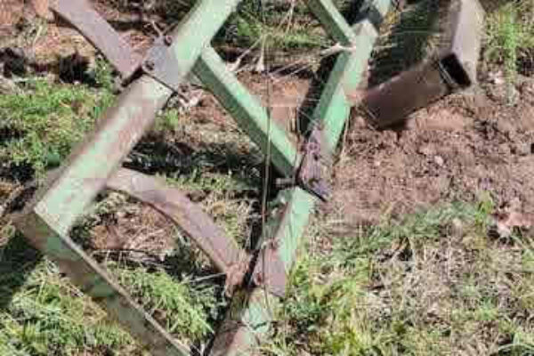 auction-10-22-22-535
