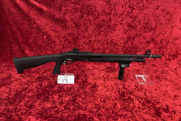 auction-10-22-22-620