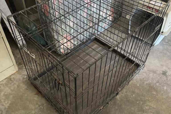 auction-10-22-22-802