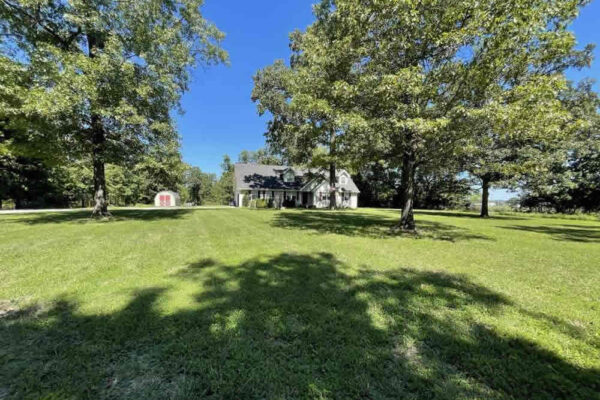 auction-10-29-22-402