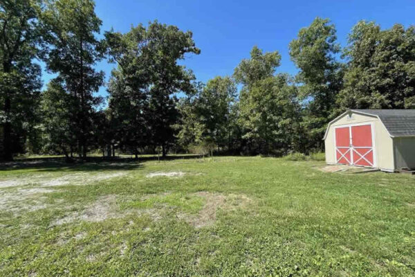 auction-10-29-22-424