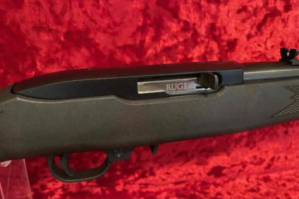 auction-10-29-22-480