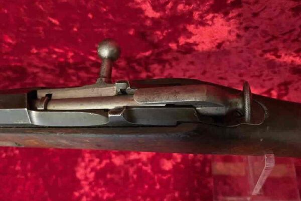 auction-10-29-22-511
