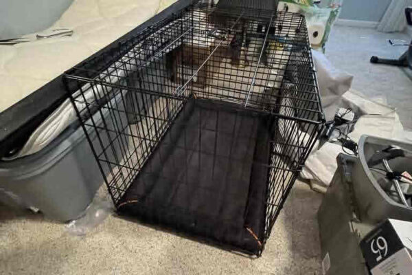 auction-10-29-22-706