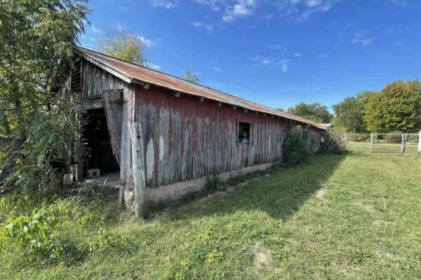 auction-11-5-22-461