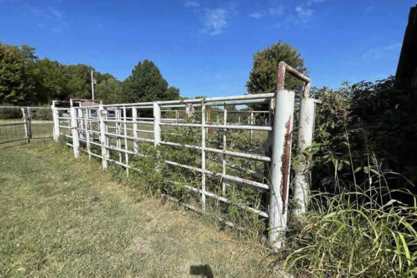 auction-11-5-22-463
