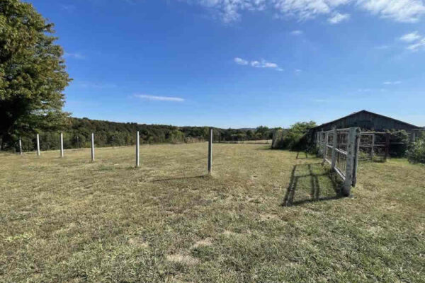 auction-11-5-22-468