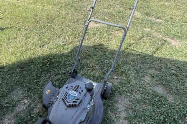 auction-11-5-22-728