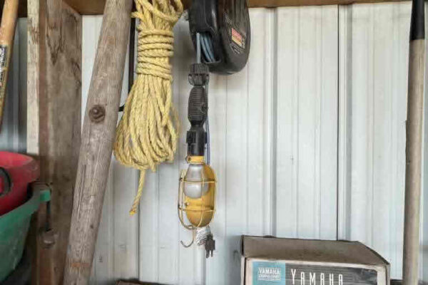 auction-11-5-22-746