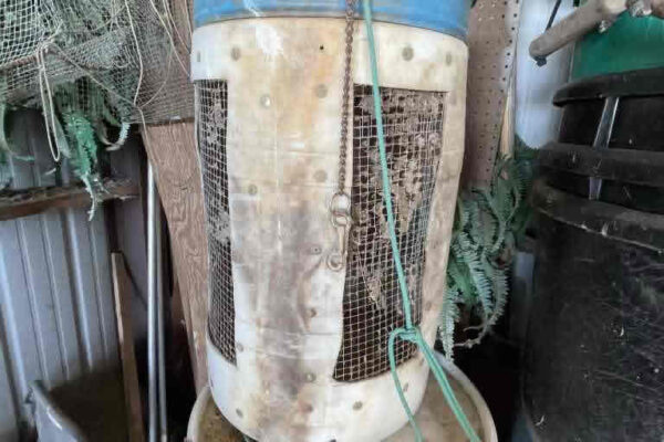 auction-11-5-22-750