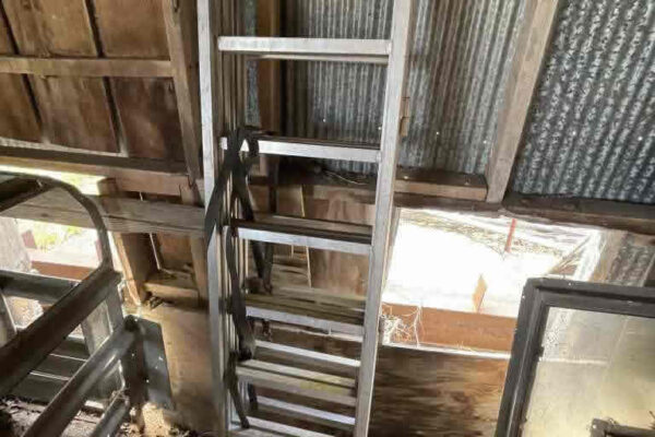 auction-11-5-22-761