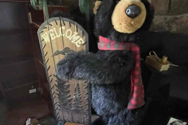 auction-11-5-22-770