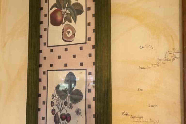 auction-11-5-22-791