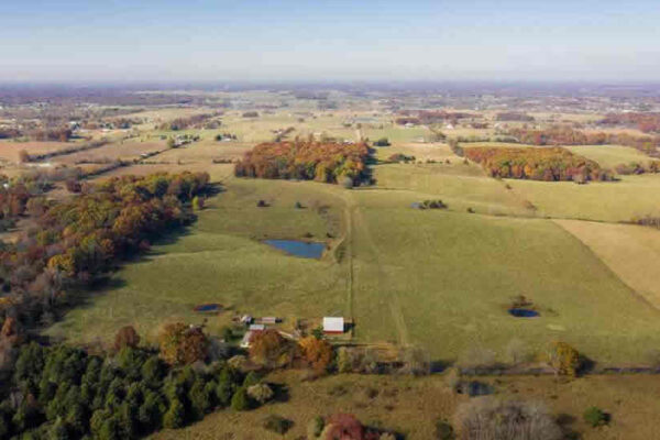 auction-12-8-22-100
