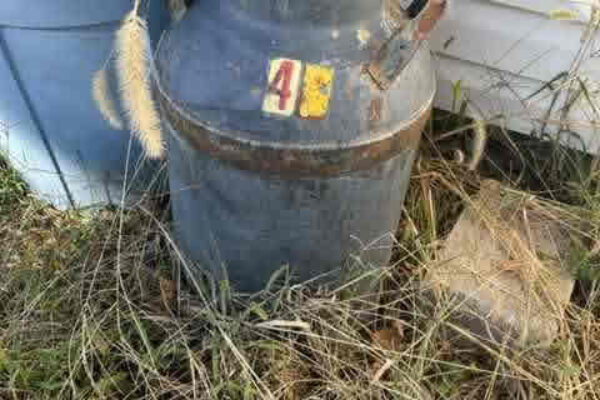 auction-12-9-22-93