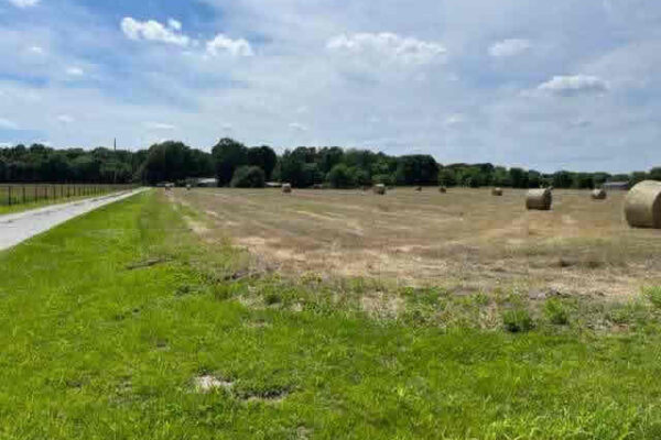 auction-7-16-22-191