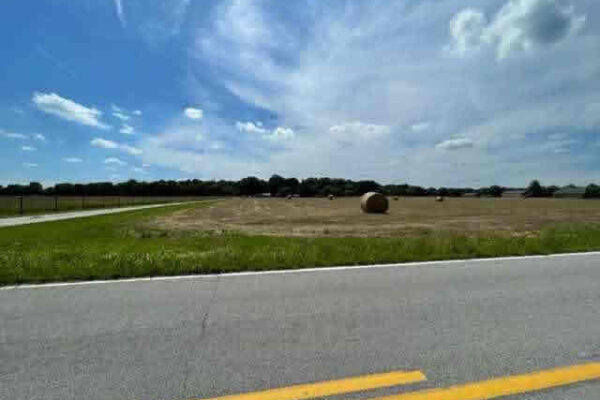 auction-7-16-22-192