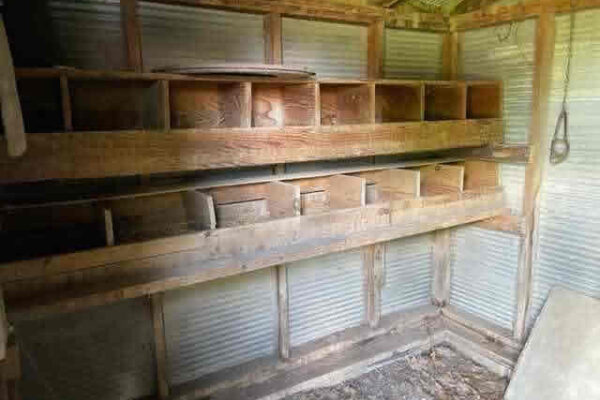 auction-7-16-22-209