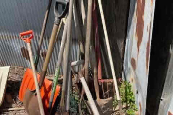 auction-7-16-22-233