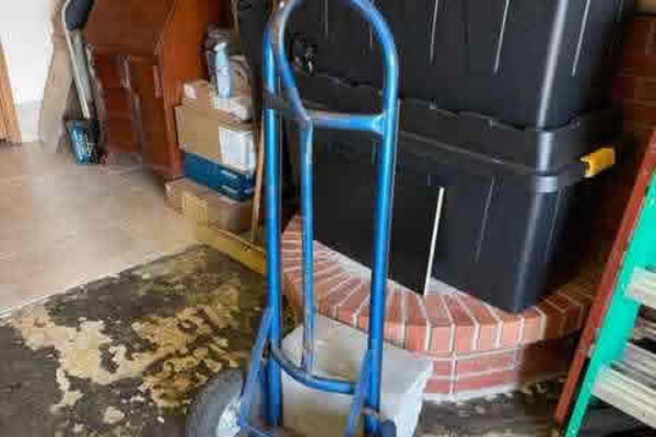 auction-7-23-22-417
