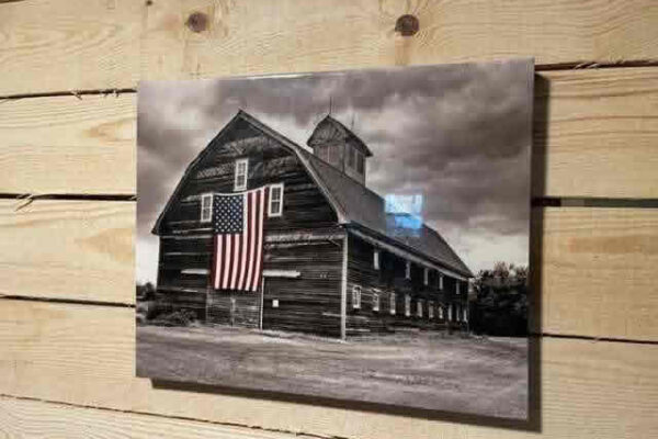auction-7-9-22-271