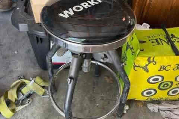 auction-7-9-22-292