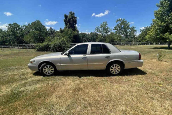 auction-8-13-22-536