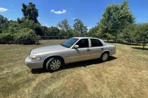 auction-8-13-22-537