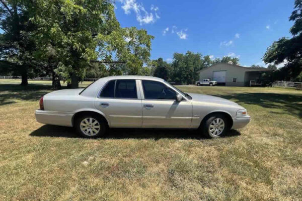 auction-8-13-22-540