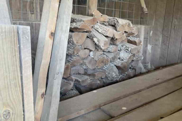 auction-8-13-22-575