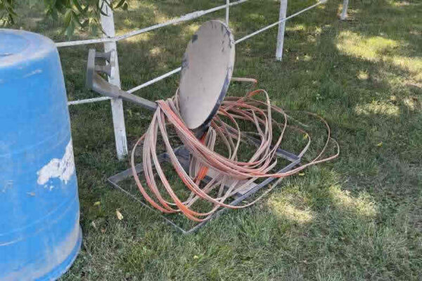 auction-8-13-22-581