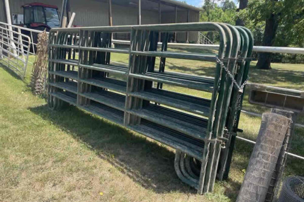 auction-8-13-22-584