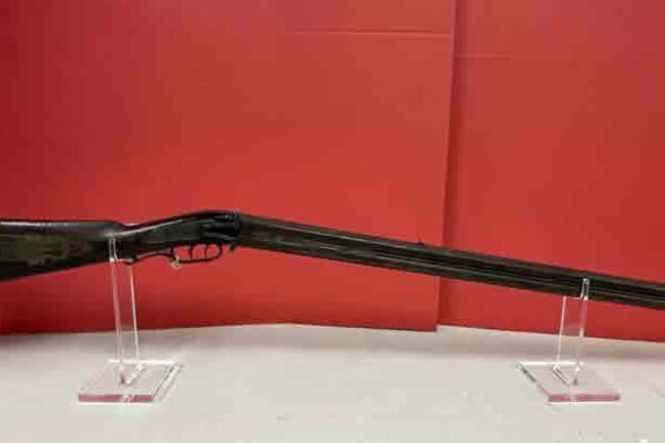 auction-8-13-22-598