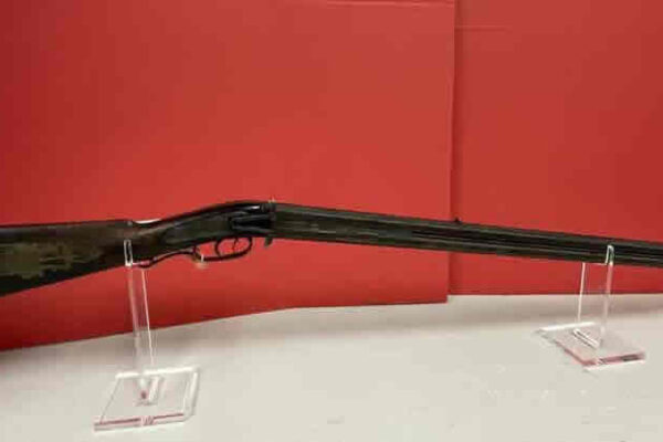 auction-8-13-22-599