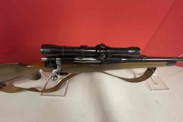 auction-8-13-22-613