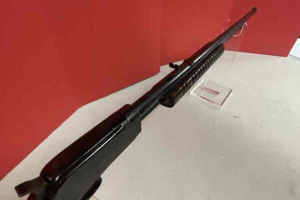 auction-8-13-22-621